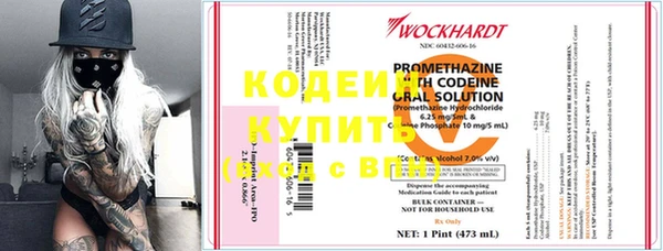 прущие грибы Армянск