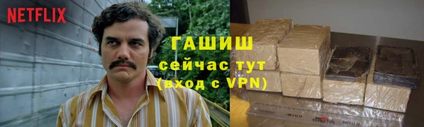 прущие грибы Армянск
