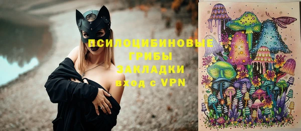 прущие грибы Армянск
