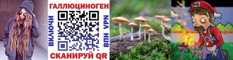 Псилоцибиновые грибы ЛСД ОМГ ОМГ сайт Судак